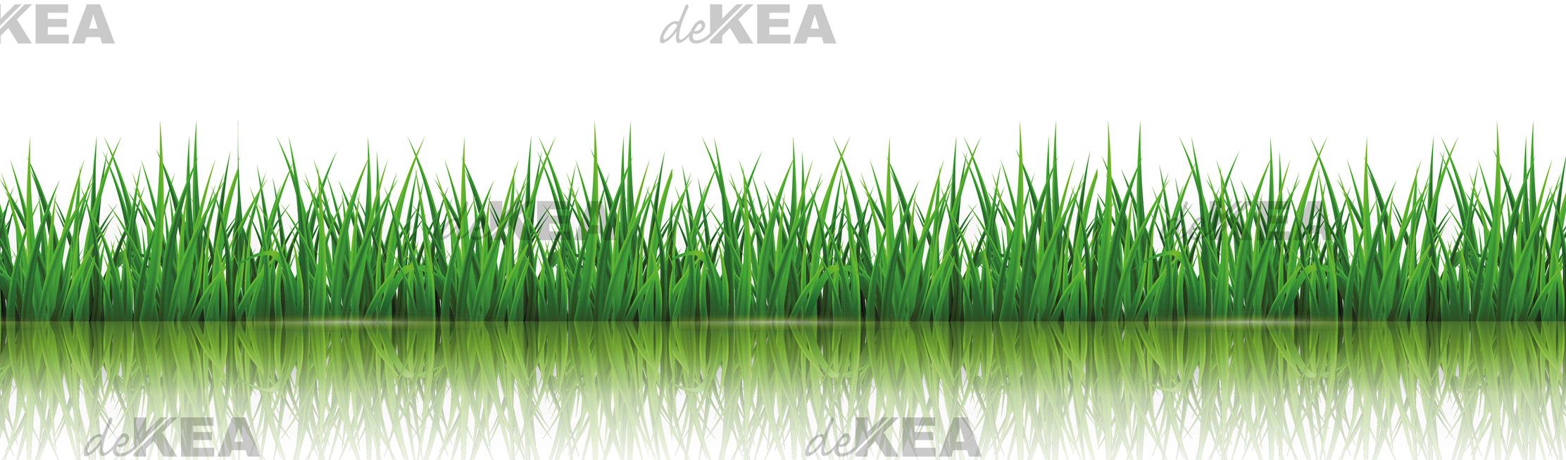 panele szklane deKEA z motywem trawy